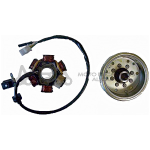 VOLANTE MAGNETICO PEUGEOT LUDIX 50