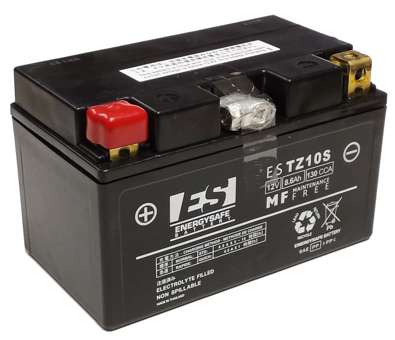 BATERIA ENERGYSAFE ESTZ10-S