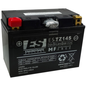 BATERIA ENERGYSAFE ESTZ14-S