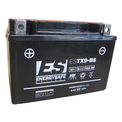 BATERIA ENERGYSAFE ESTX9-BS 12V/8AH