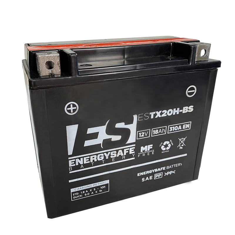BATERIA ENERGYSAFE ESTX20H-BS