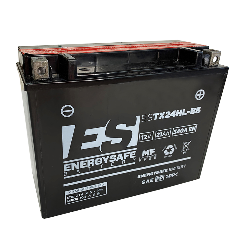 BATERIA ENERGYSAFE ESTX24HL-BS