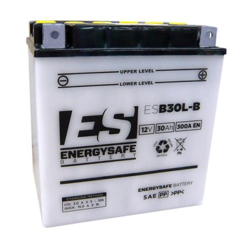 BATERIA ENERGYSAFE ESB30L-B 12V/30AH