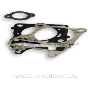 JUNTAS MALOSSI HONDA PCX 125, SH 125 ABS ,FORZA