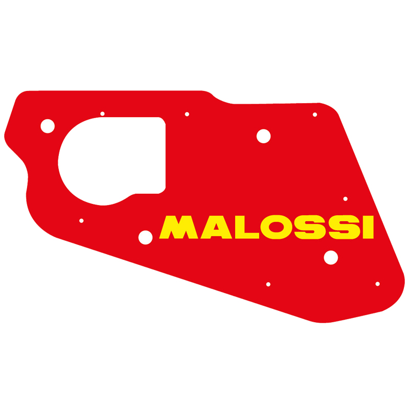 FILTRO AIRE MALOSSI AMICO, SR 50