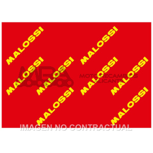 HOJA ELEMENTO FILTRANTE MALOSSI RED SPONGE