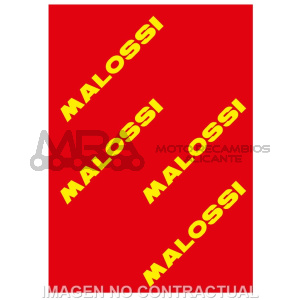 HOJA ELEMENTO FILTRANTE MALOSSI RED SPONGE