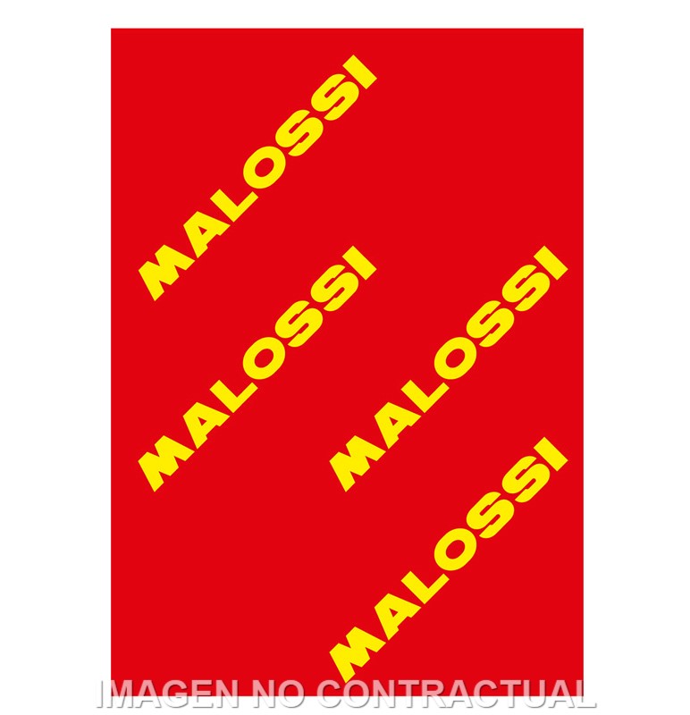 HOJA ELEMENTO FILTRANTE MALOSSI RED SPONGE