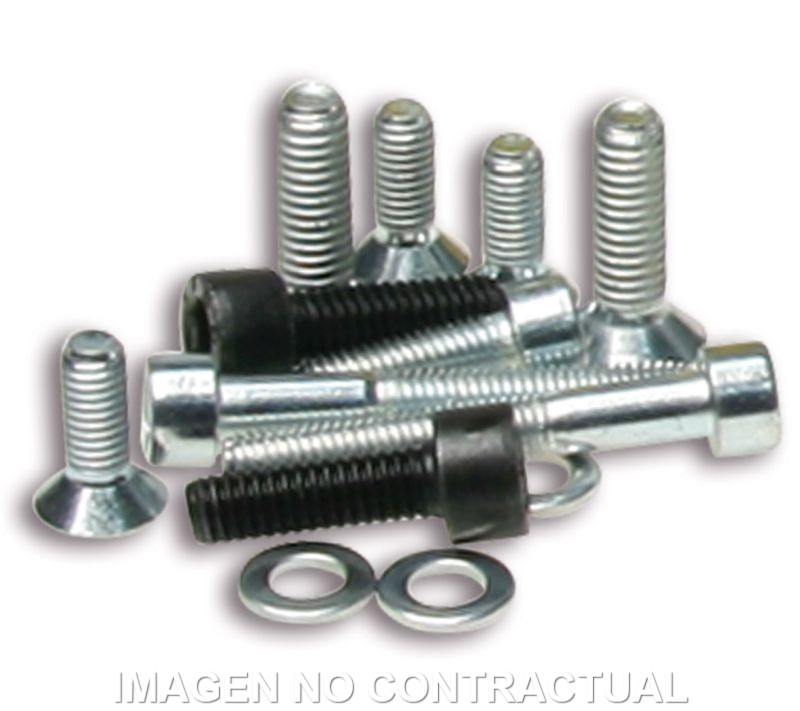 TORNILLERIA ENCENDIDO ROTOR INTERNO PIAGGIO