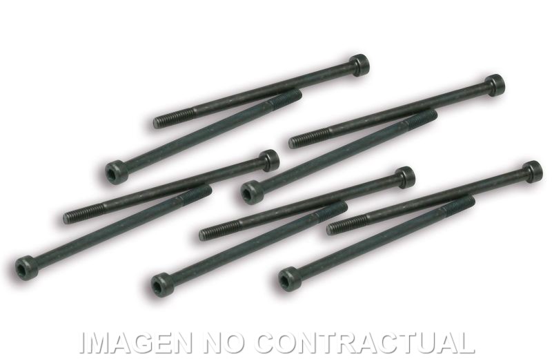 TORNILLOS FIJACION PINZAS VARIADOR MALOSSI COMPET.
