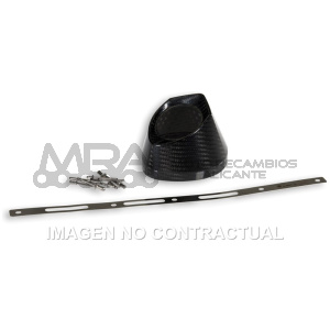 KIT TERMINAL CARBONO ESCAPES MALOSSI RX