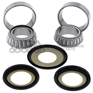 KIT RODAMIENTOS DE COLUMNA ALL BALLS 22-1001