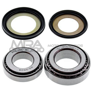 KIT RODAMIENTOS DE COLUMNA ALL BALLS 22-1019