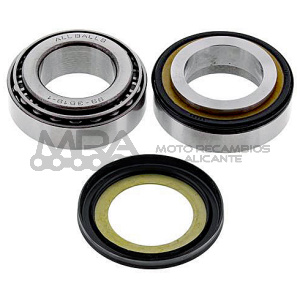 KIT RODAMIENTOS DE COLUMNA ALL BALLS 22-1055