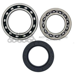 KIT RODAMIENTOS DE RUEDA ALL BALLS 25-1010