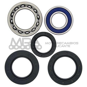 KIT RODAMIENTOS DE RUEDA ALL BALLS 25-1015