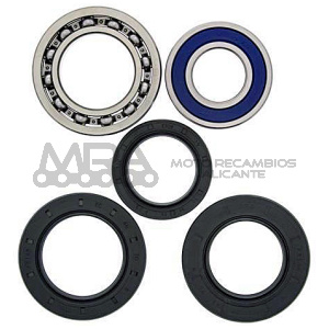 KIT RODAMIENTOS DE RUEDA ALL BALLS 25-1017