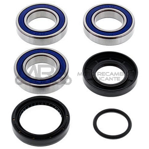 KIT RODAMIENTOS DE RUEDA ALL BALLS 25-1034