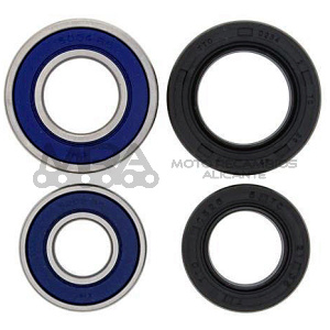 KIT RODAMIENTOS DE RUEDA ALL BALLS 25-1044