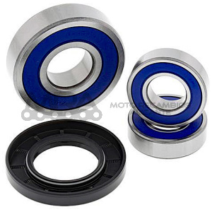 KIT RODAMIENTOS DE RUEDA ALL BALLS 25-1096