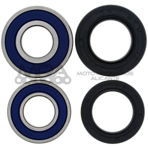 KIT RODAMIENTOS DE RUEDA ALL BALLS 25-1113
