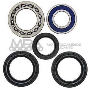 KIT RODAMIENTOS DE RUEDA ALL BALLS 25-1139