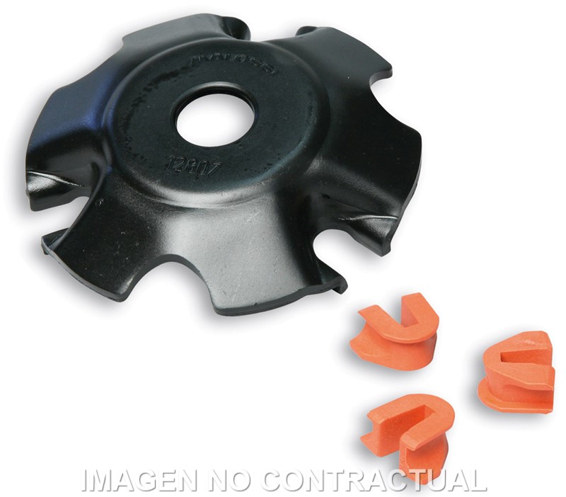 TAPA DE RAMPAS VARIADOR PARA CIGÜEÑAL 5312810