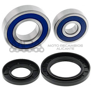 KIT RODAMIENTOS DE RUEDA ALL BALLS 25-1282