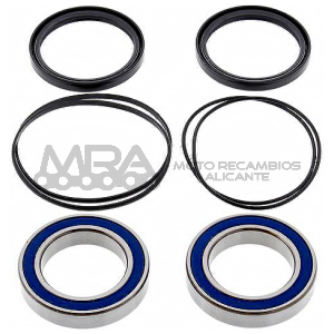 KIT RODAMIENTOS DE RUEDA ALL BALLS 25-1320