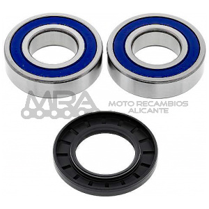 KIT RODAMIENTOS DE RUEDA ALL BALLS 25-1322