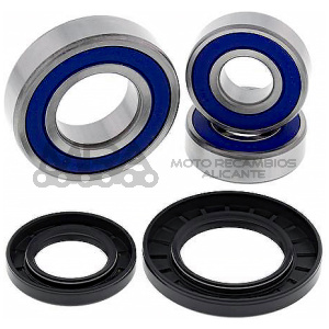 KIT RODAMIENTOS DE RUEDA ALL BALLS 25-1393