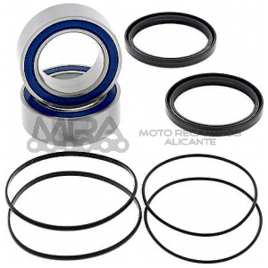 KIT RODAMIENTOS DE RUEDA ALL BALLS 25-1401