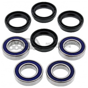 KIT RODAMIENTOS DE RUEDA ALL BALLS 25-1409