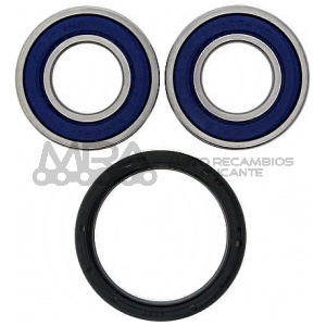 KIT RODAMIENTOS DE RUEDA ALL BALLS 25-1417