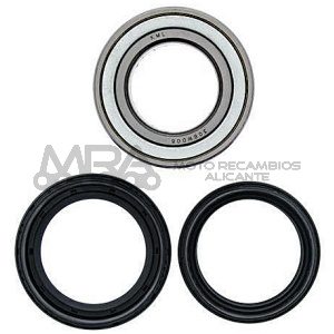 KIT RODAMIENTOS DE RUEDA ALL BALLS 25-1497