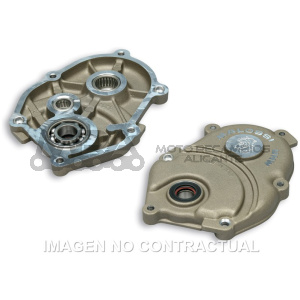 TAPA CUBREDESMULTIPLICADOR MOTOR MINARELLI