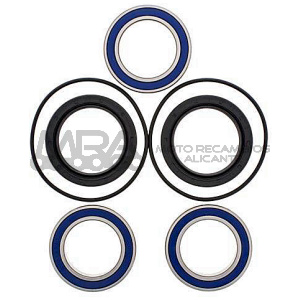 KIT RODAMIENTOS DE RUEDA ALL BALLS 25-1560