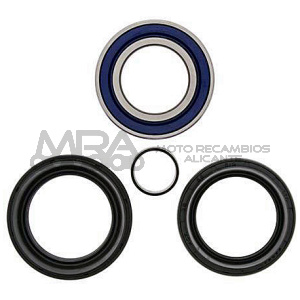KIT RODAMIENTOS DE RUEDA ALL BALLS 25-1572
