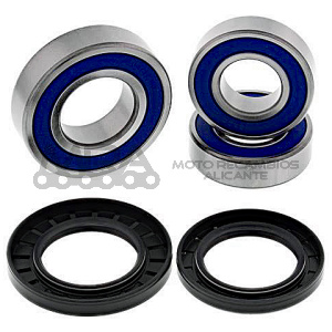 KIT RODAMIENTOS DE RUEDA ALL BALLS 25-1606