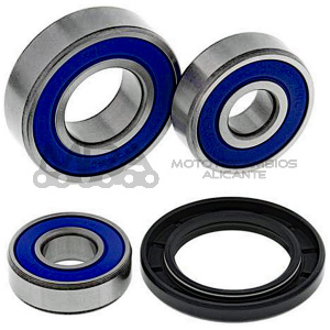 KIT RODAMIENTOS DE RUEDA ALL BALLS 25-1608