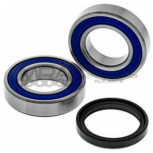 KIT RODAMIENTOS DE RUEDA ALL BALLS 25-1709