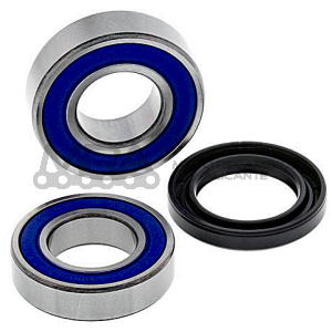 KIT RODAMIENTOS DE RUEDA ALL BALLS 25-1719