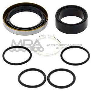 KIT REVISION PIÑON DE SALIDA ALL BALLS 25-4001