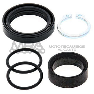 KIT REVISION PIÑON DE SALIDA ALL BALLS 25-4006