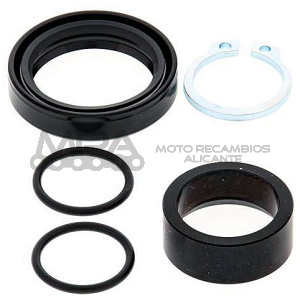 KIT REVISION PIÑON DE SALIDA ALL BALLS 25-4007