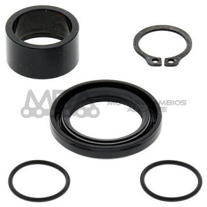 KIT REVISION PIÑON DE SALIDA ALL BALLS 25-4017