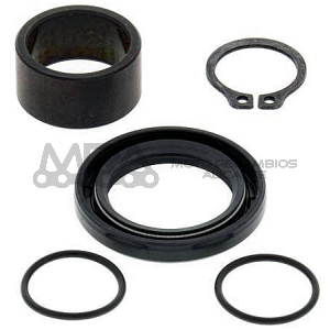 KIT REVISION PIÑON DE SALIDA ALL BALLS 25-4018
