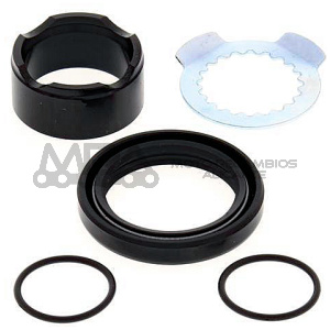 KIT REVISION PIÑON DE SALIDA ALL BALLS 25-4020