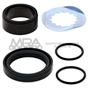KIT REVISION PIÑON DE SALIDA ALL BALLS 25-4021