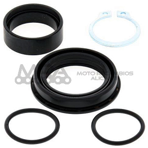 KIT REVISION PIÑON DE SALIDA ALL BALLS 25-4028